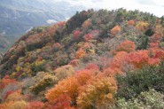 小豆島、紅葉の寒霞渓
